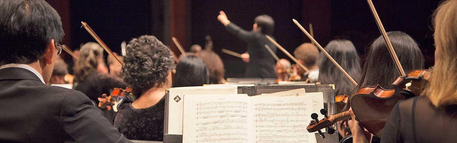 Audition Information New Jersey Symphony Orchestra